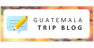 bloglogo